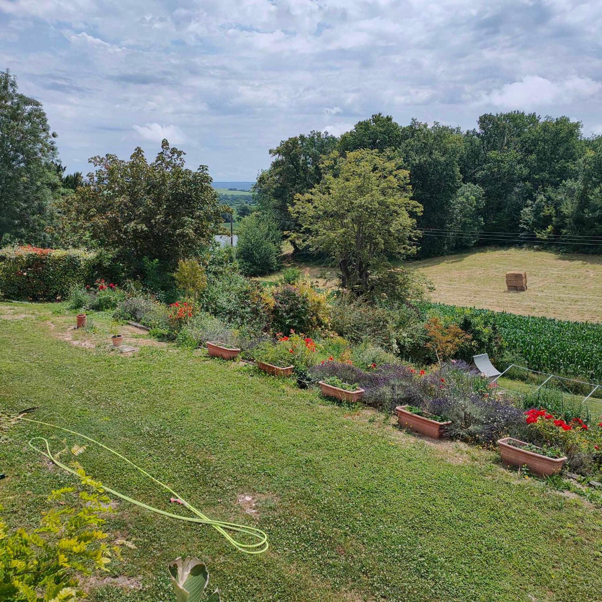 Grand Fonteneau Saint-Romain  المظهر الخارجي الصورة